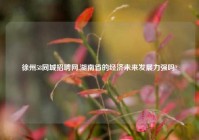 徐州58同城招聘网,湖南省的经济未来发展力强吗?