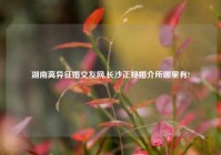 湖南离异征婚交友网,长沙正规婚介所哪里有?