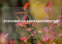 北京有名的婚姻介绍所,有哪些很荒诞很邪性的国产电影?