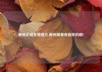 柳州正规免费婚介,柳州哪里有相亲的啊?