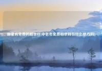 哪里有免费的相亲群,中老年免费相亲群在什么地方的?