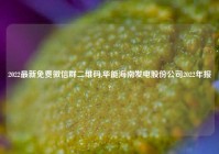 2022最新免费微信群二维码,华能海南发电股份公司2022年报?