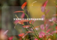 交友网站,什么交友网站比较靠谱?