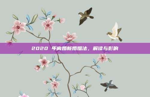 2020 年离婚新婚姻法,解读与影响