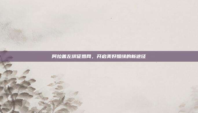 阿拉善左旗征婚网，开启美好姻缘的新途径