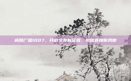 咸阳广播1007，开启交友新征程，微信连接你我他