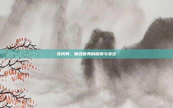 嫁我网，婚恋世界的探索与变迁