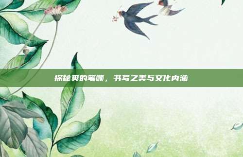 探秘爽的笔顺，书写之美与文化内涵