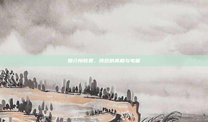 婚介所收费，背后的真相与考量