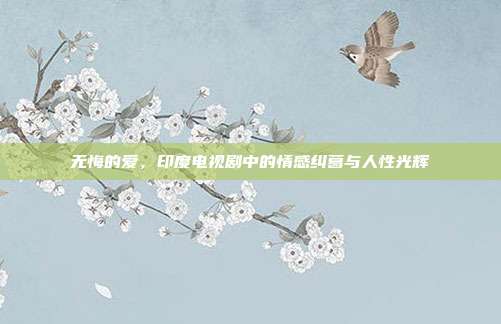 无悔的爱，印度电视剧中的情感纠葛与人性光辉