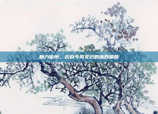 魅力衢州，古韵今风交织的浙西明珠