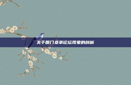 关于厦门桑拿论坛现象的剖析