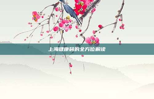 上海健康码的全方位解读