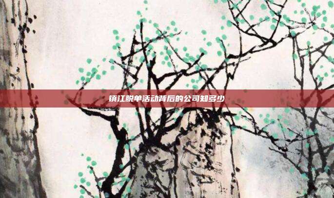 镇江脱单活动背后的公司知多少