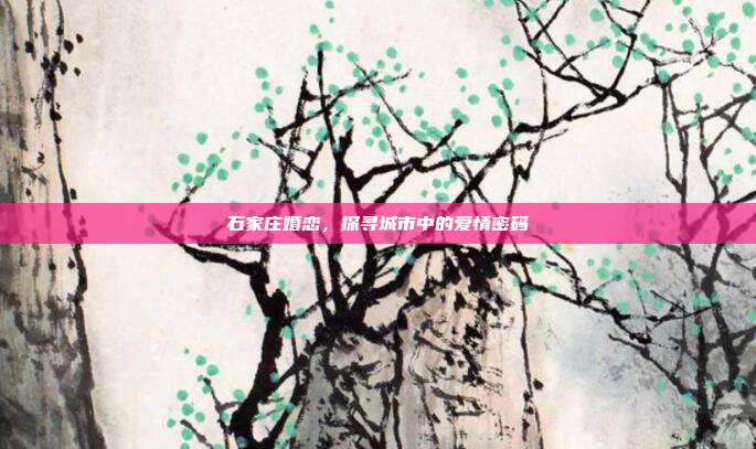 石家庄婚恋，探寻城市中的爱情密码