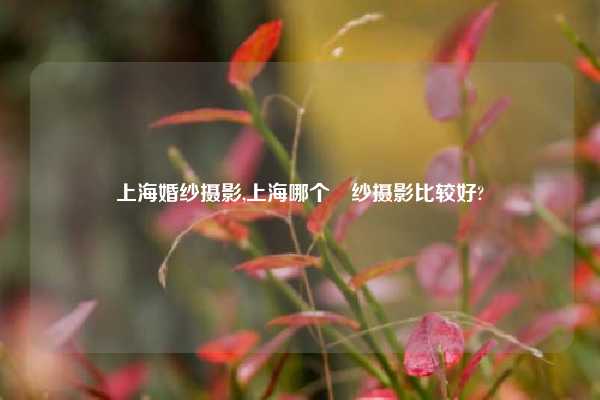 上海婚纱摄影,上海哪个緍纱摄影比较好?
