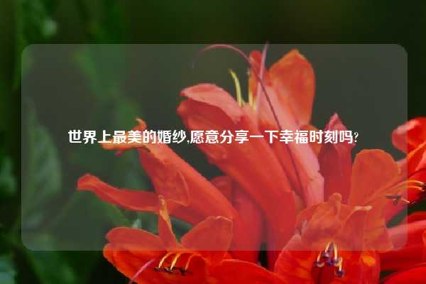 世界上最美的婚纱,愿意分享一下幸福时刻吗?