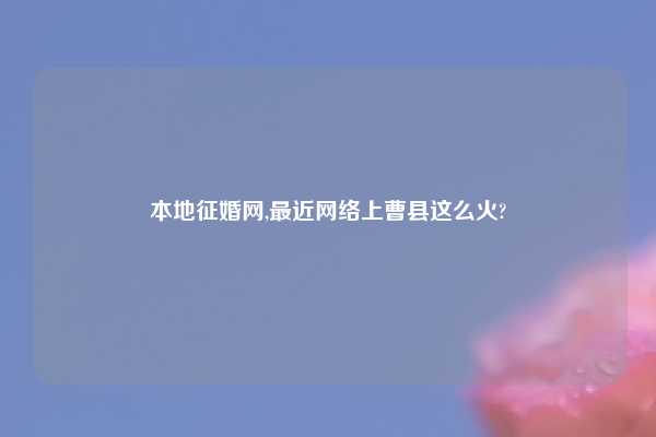 本地征婚网,最近网络上曹县这么火?