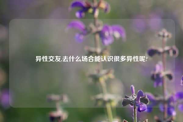 异性交友,去什么场合能认识很多异性呢?