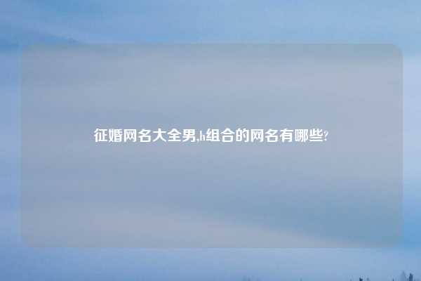 征婚网名大全男,h组合的网名有哪些?