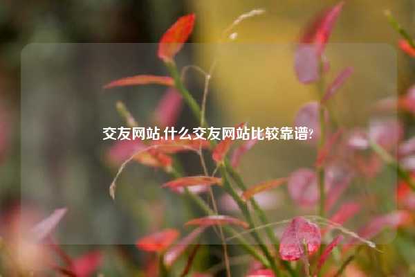 交友网站,什么交友网站比较靠谱?