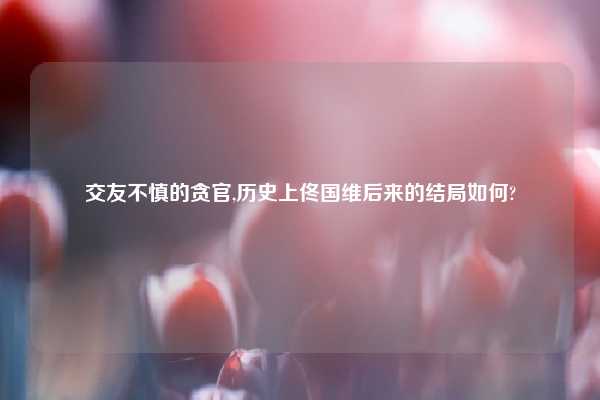 交友不慎的贪官,历史上佟国维后来的结局如何?