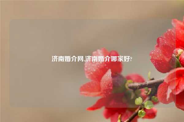 济南婚介网,济南婚介哪家好?