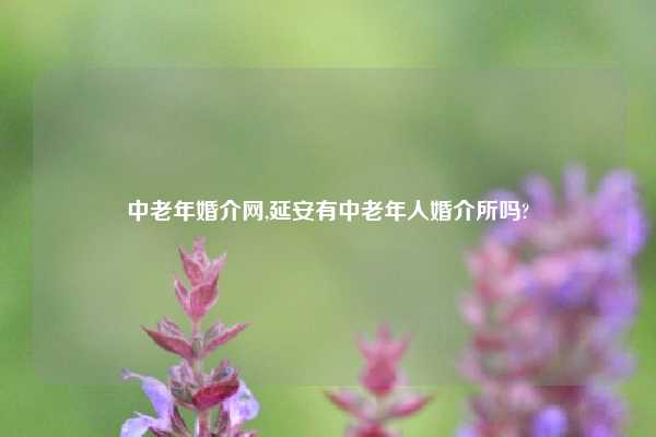中老年婚介网,延安有中老年人婚介所吗?