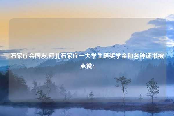 石家庄会网友,河北石家庄一大学生晒奖学金和各种证书被点赞?