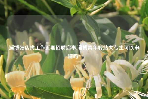 淄博张店找工作近期招聘启事,淄博青年驿站大专生可以申请吗?
