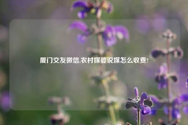 厦门交友微信,农村媒婆说媒怎么收费?