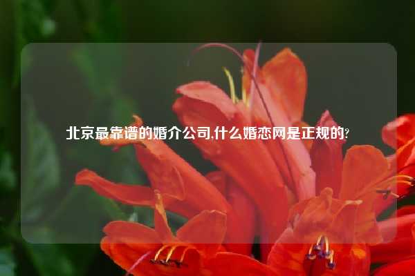 北京最靠谱的婚介公司,什么婚恋网是正规的?