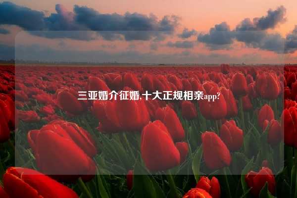 三亚婚介征婚,十大正规相亲app?