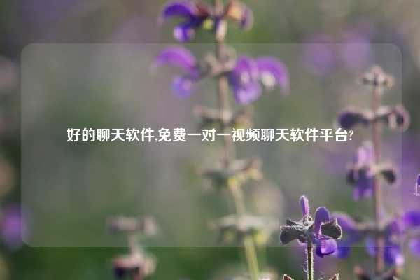 好的聊天软件,免费一对一视频聊天软件平台?