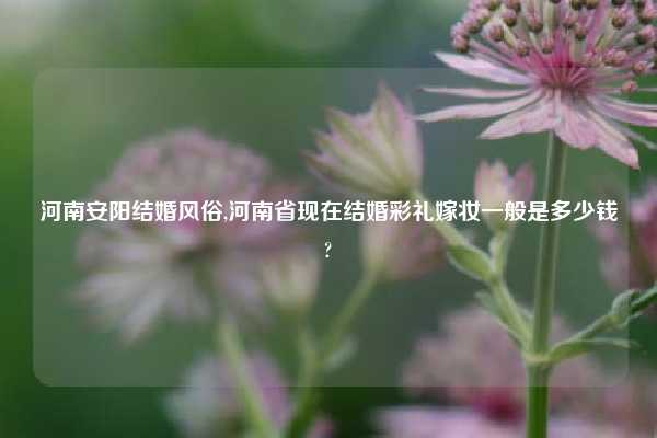 河南安阳结婚风俗,河南省现在结婚彩礼嫁妆一般是多少钱?
