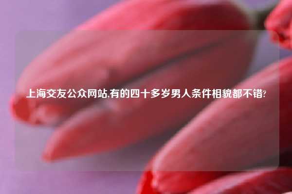 上海交友公众网站,有的四十多岁男人条件相貌都不错?