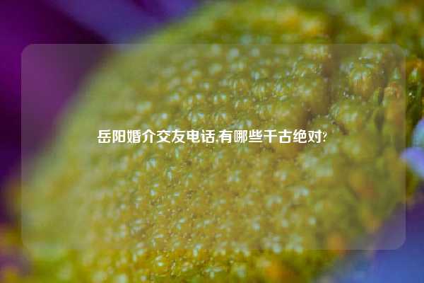 岳阳婚介交友电话,有哪些千古绝对?