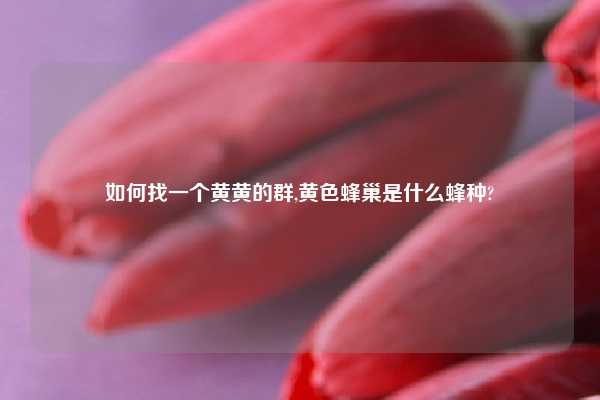 如何找一个黄黄的群,黄色蜂巢是什么蜂种?