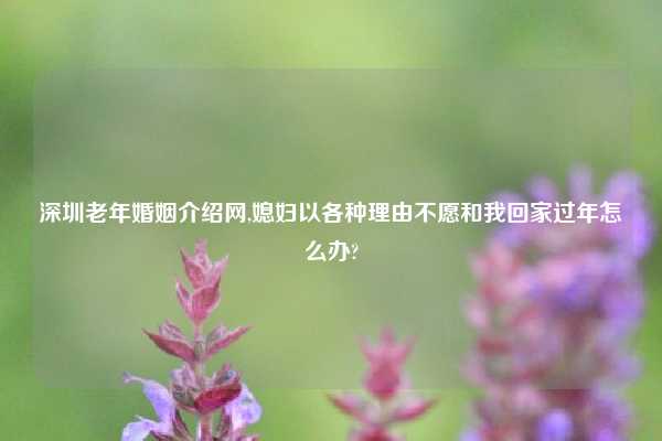 深圳老年婚姻介绍网,媳妇以各种理由不愿和我回家过年怎么办?