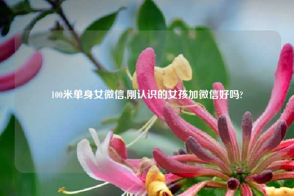 100米单身女微信,刚认识的女孩加微信好吗?