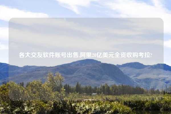 各大交友软件账号出售,阿里20亿美元全资收购考拉?
