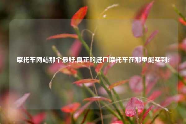 摩托车网站那个最好,真正的进口摩托车在那里能买到?