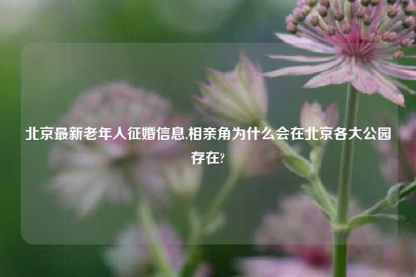 北京最新老年人征婚信息,相亲角为什么会在北京各大公园存在?