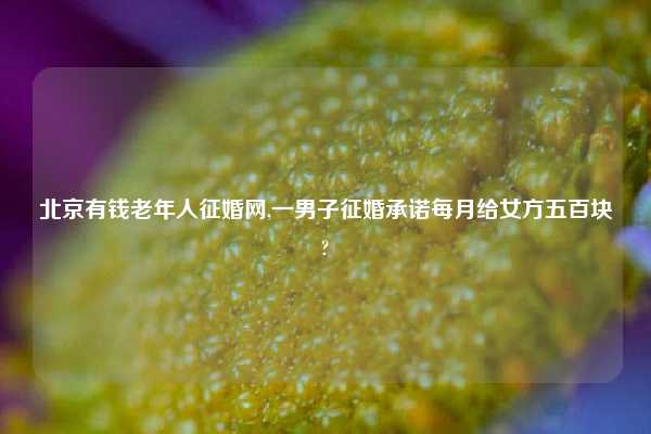 北京有钱老年人征婚网,一男子征婚承诺每月给女方五百块?