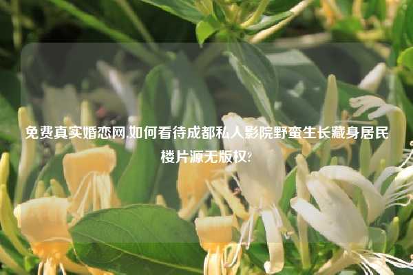 免费真实婚恋网,如何看待成都私人影院野蛮生长藏身居民楼片源无版权?