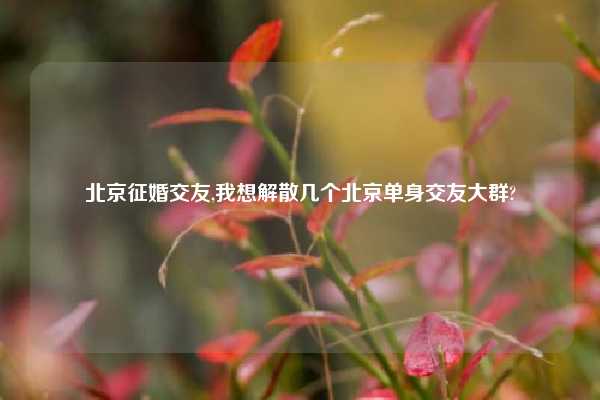 北京征婚交友,我想解散几个北京单身交友大群?