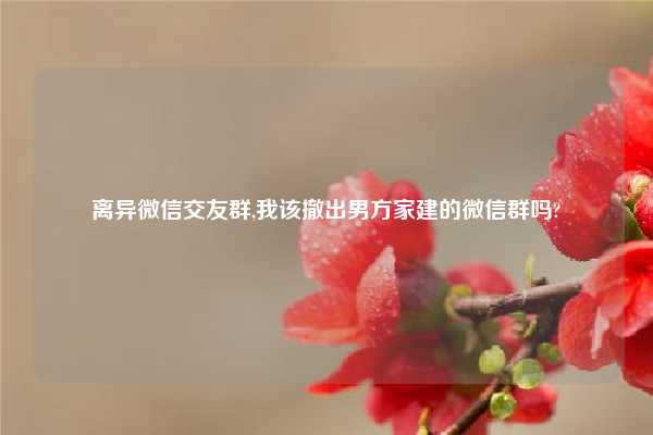 离异微信交友群,我该撤出男方家建的微信群吗?