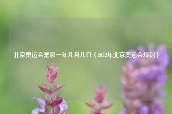 北京奥运会是哪一年几月几日（2022年北京奥运会规则）