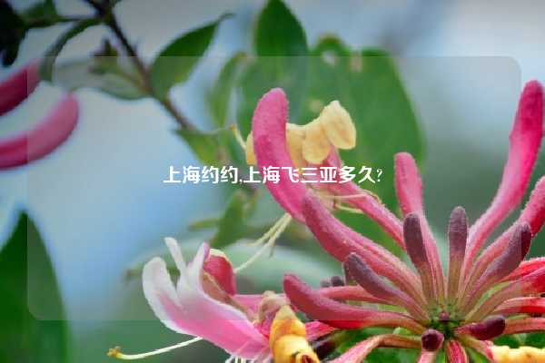 上海约约,上海飞三亚多久?