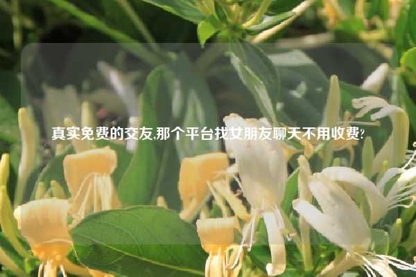 真实免费的交友,那个平台找女朋友聊天不用收费?
